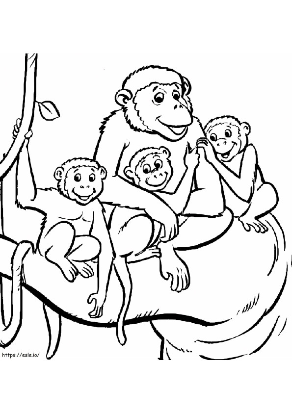 Mono Familiar de colorat