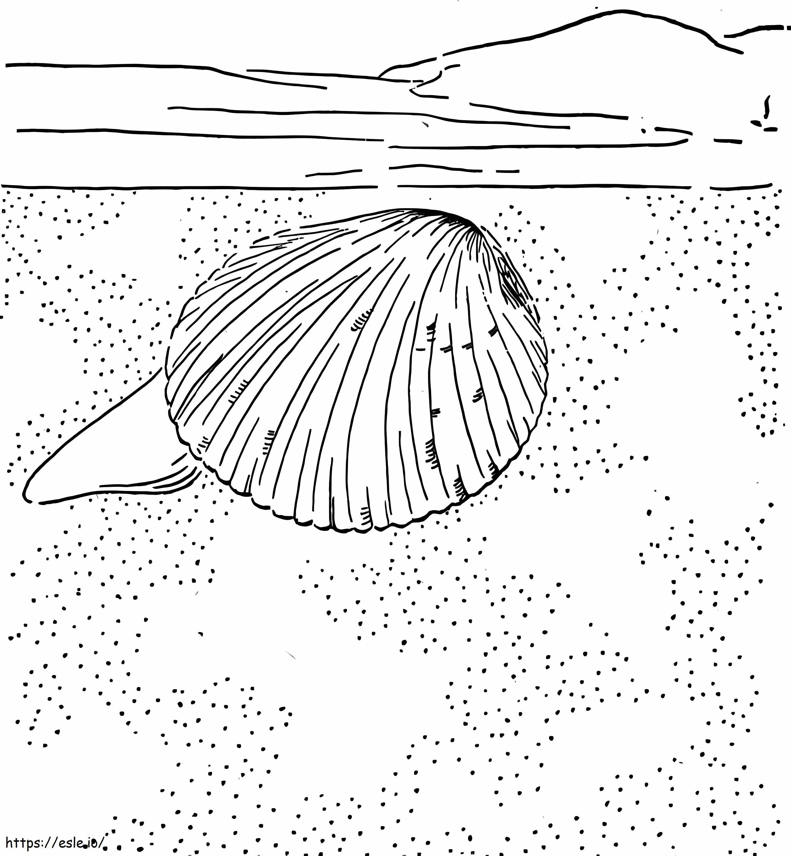 ザルガイ貝 ぬりえ - 塗り絵