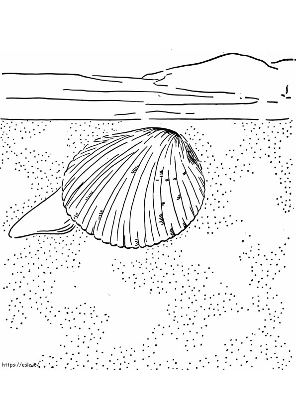 ザルガイ貝 ぬりえ - 塗り絵