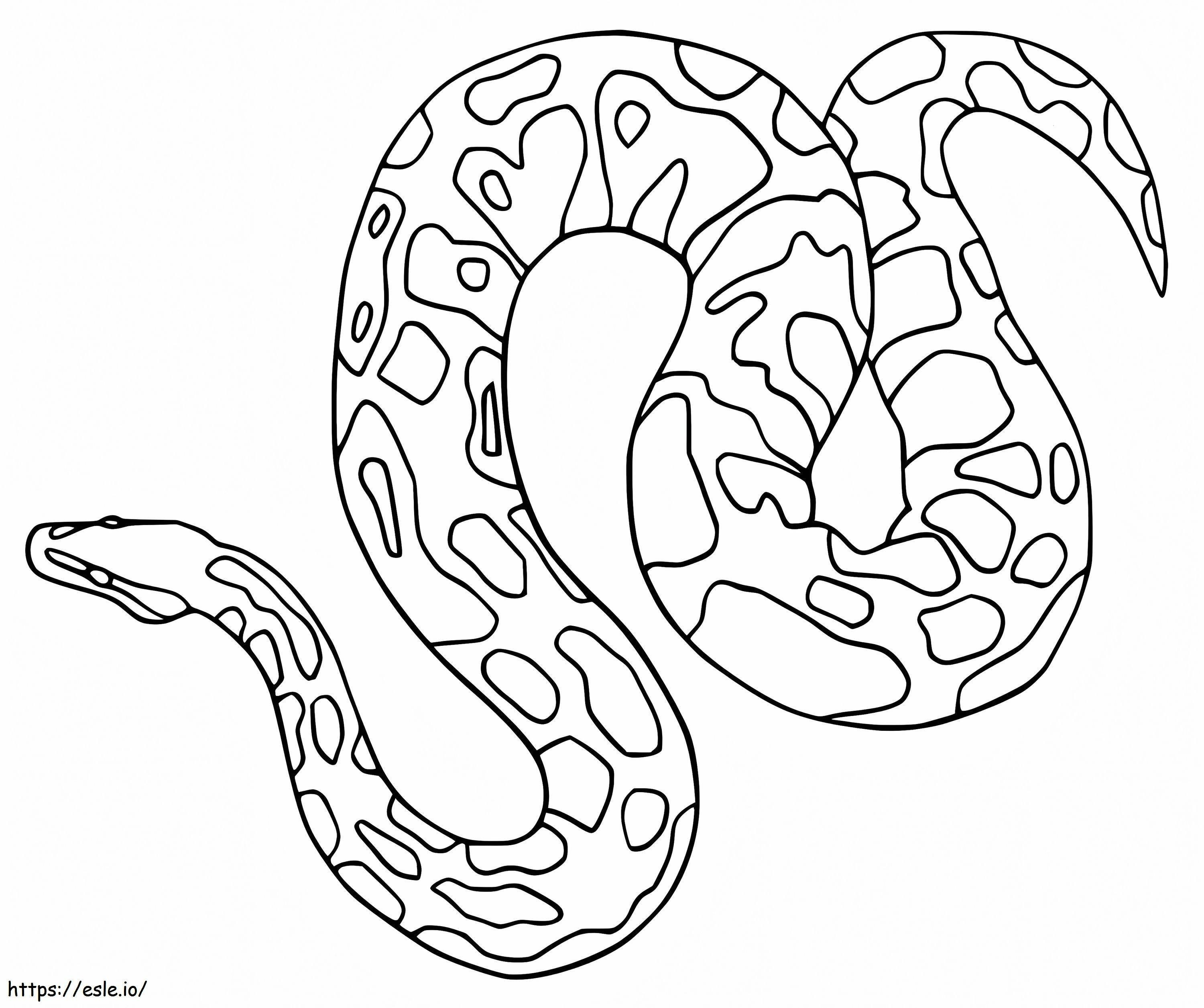 Large Anaconda coloring page