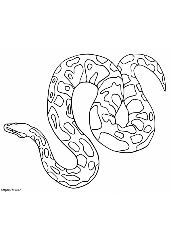 Anaconda grande da colorare