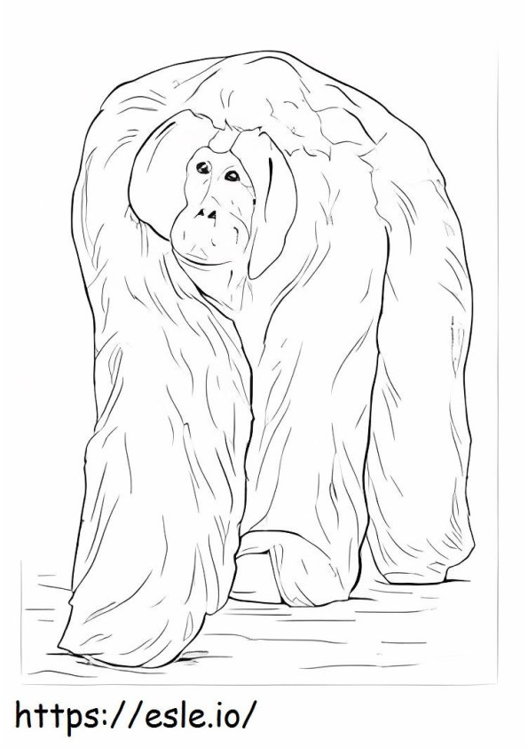 Orangutan Walking coloring page