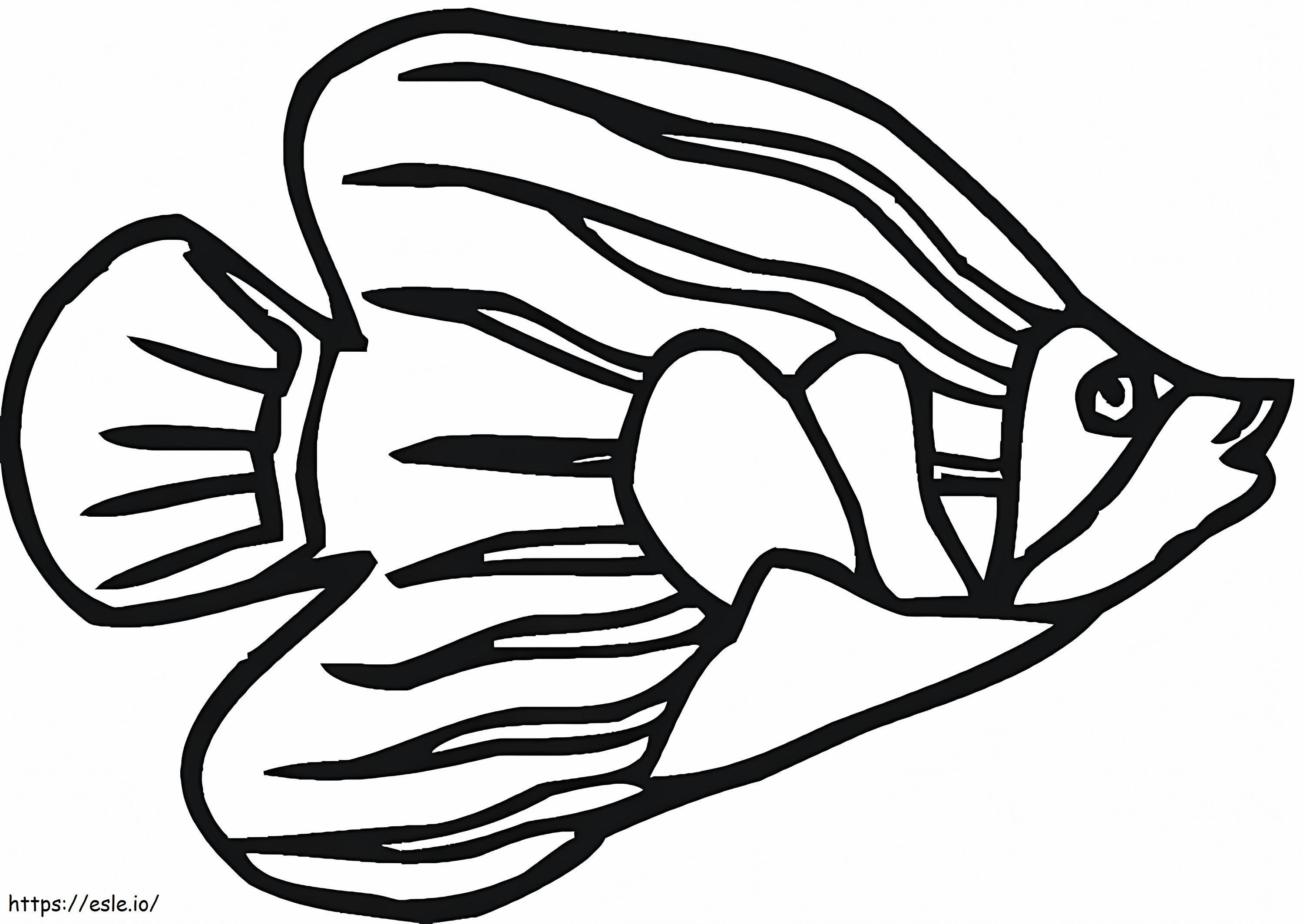 Yksinkertainen Angelfish värityskuva