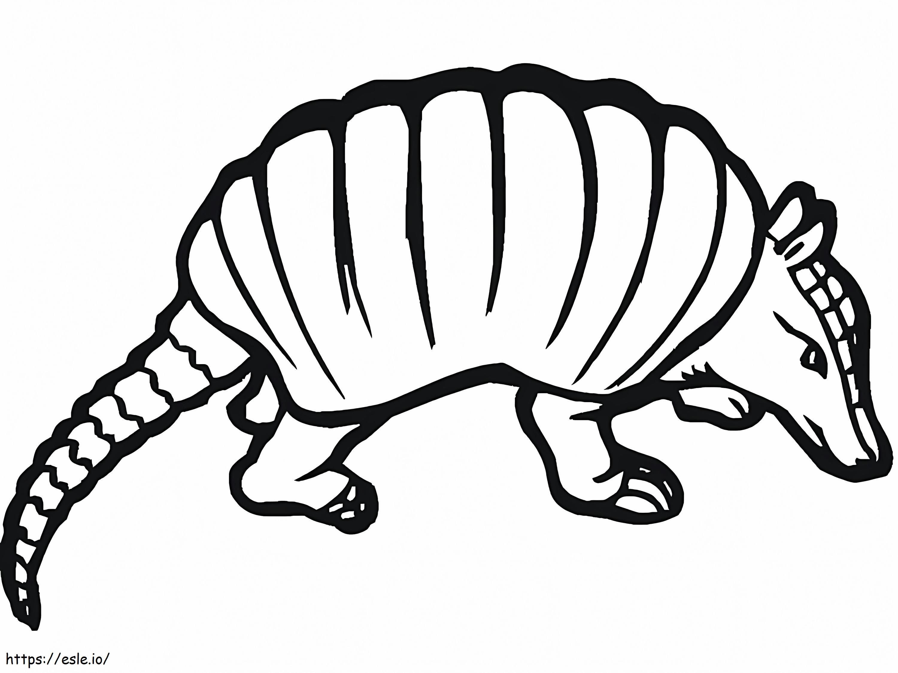 Gambar Mewarnai Armadilo untuk Anak