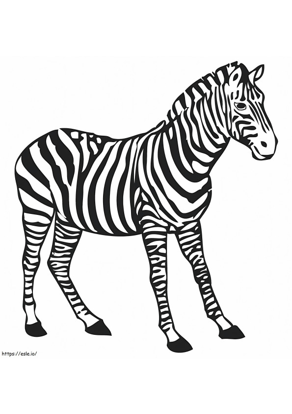 Basic Zebra coloring page
