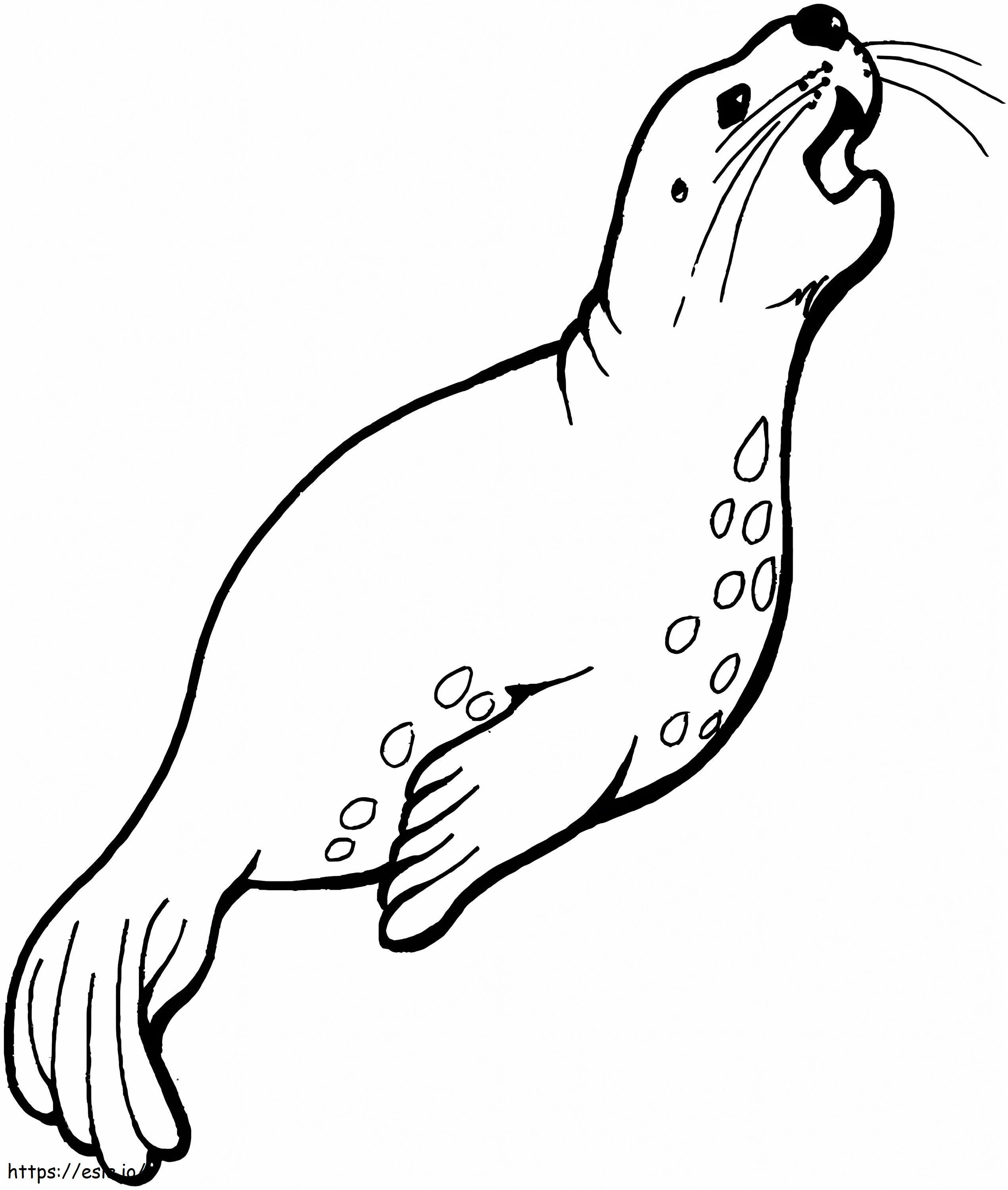 Leão-marinho nada para colorir