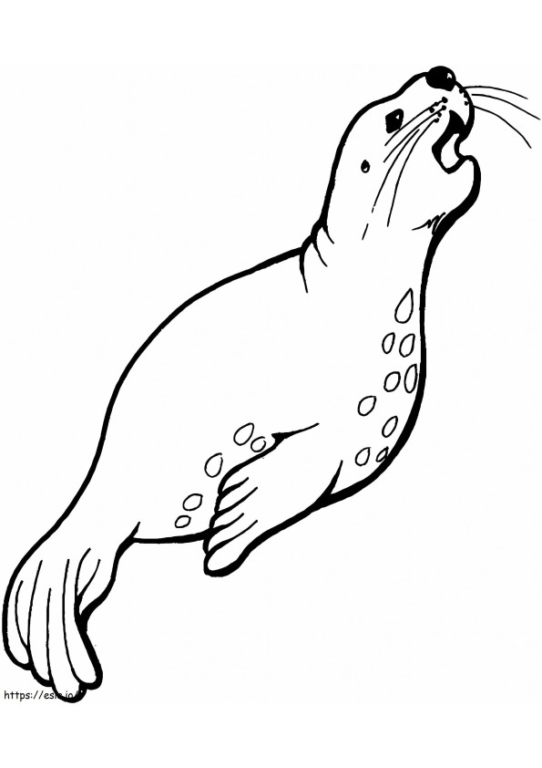 Sea Lion Swims coloring page