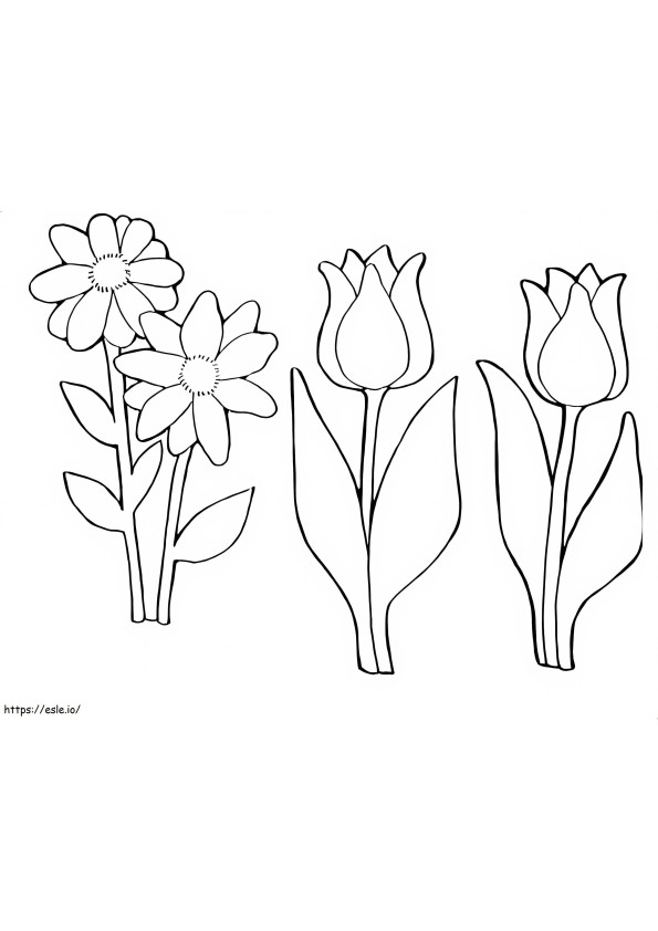 Tulpe und Gänseblümchen ausmalbilder