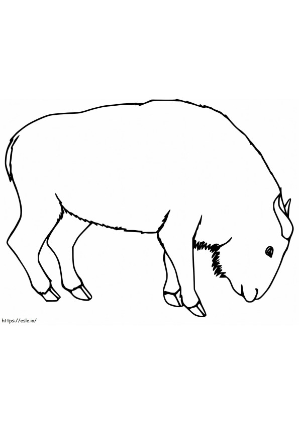 Easy Takin coloring page