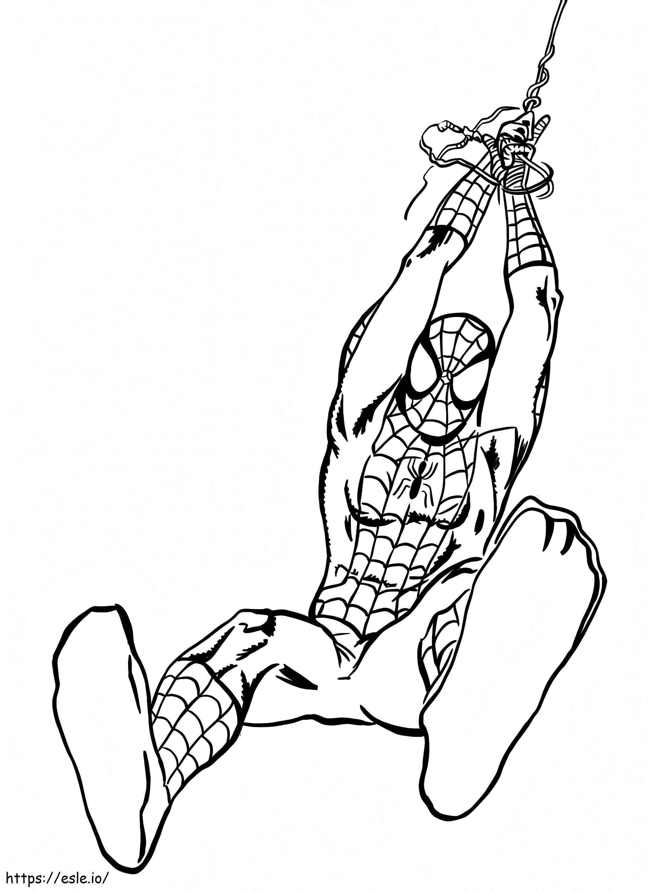 Spiderman Luar Biasa Gambar Mewarnai