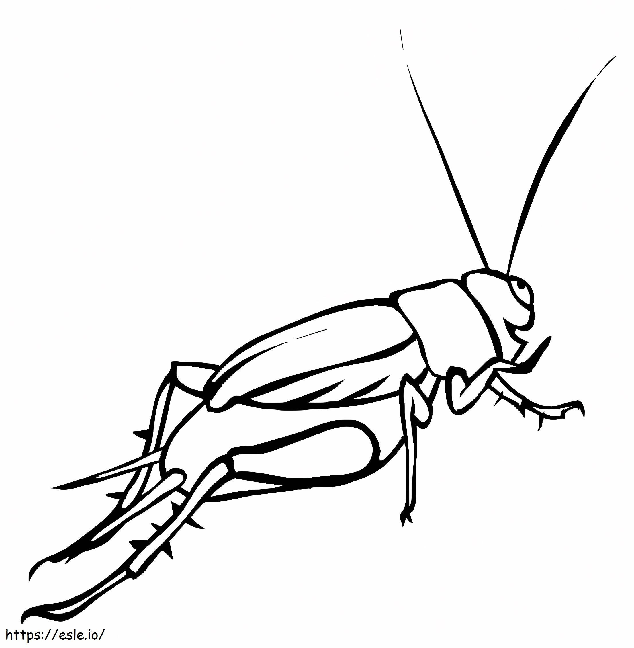 Cricket Drawing coloring page