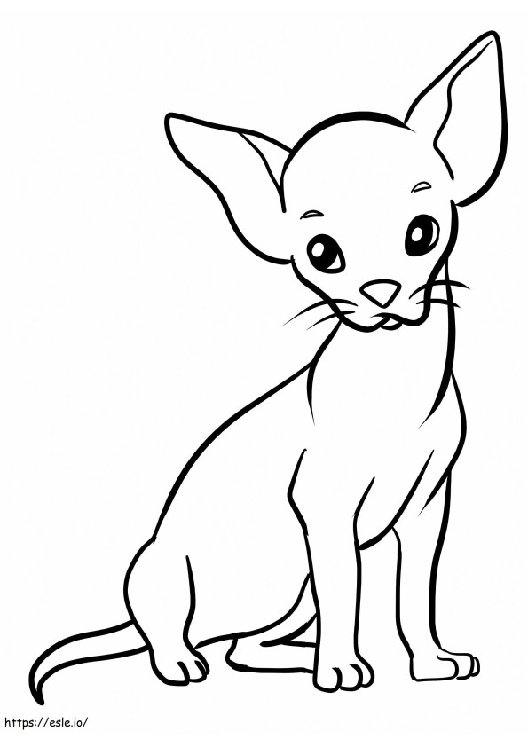 Coloriage Chihuahua gratuit à imprimer dessin