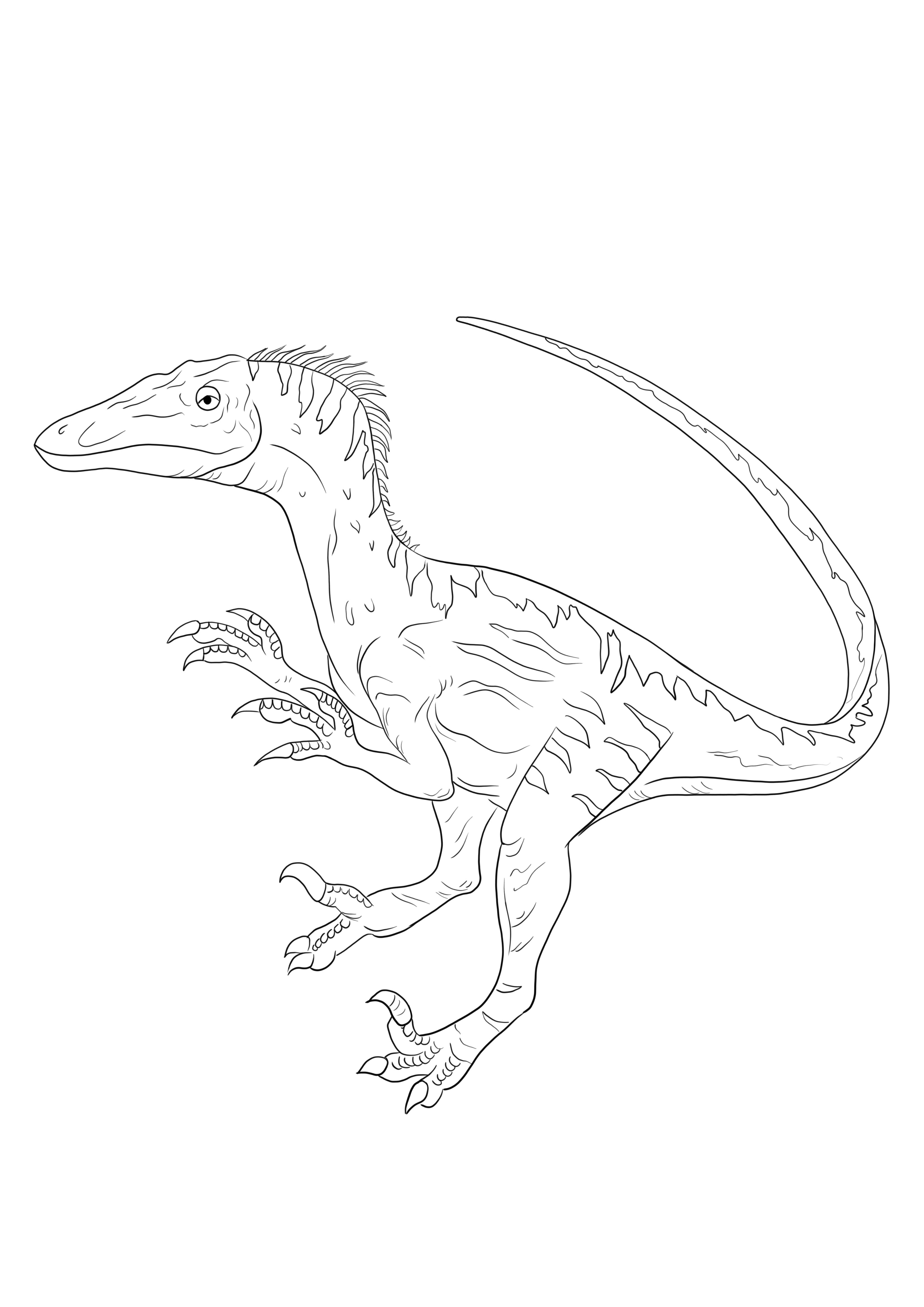 Big Velociraptor om gratis te downloaden en om een kleurenfoto te maken kleurplaat