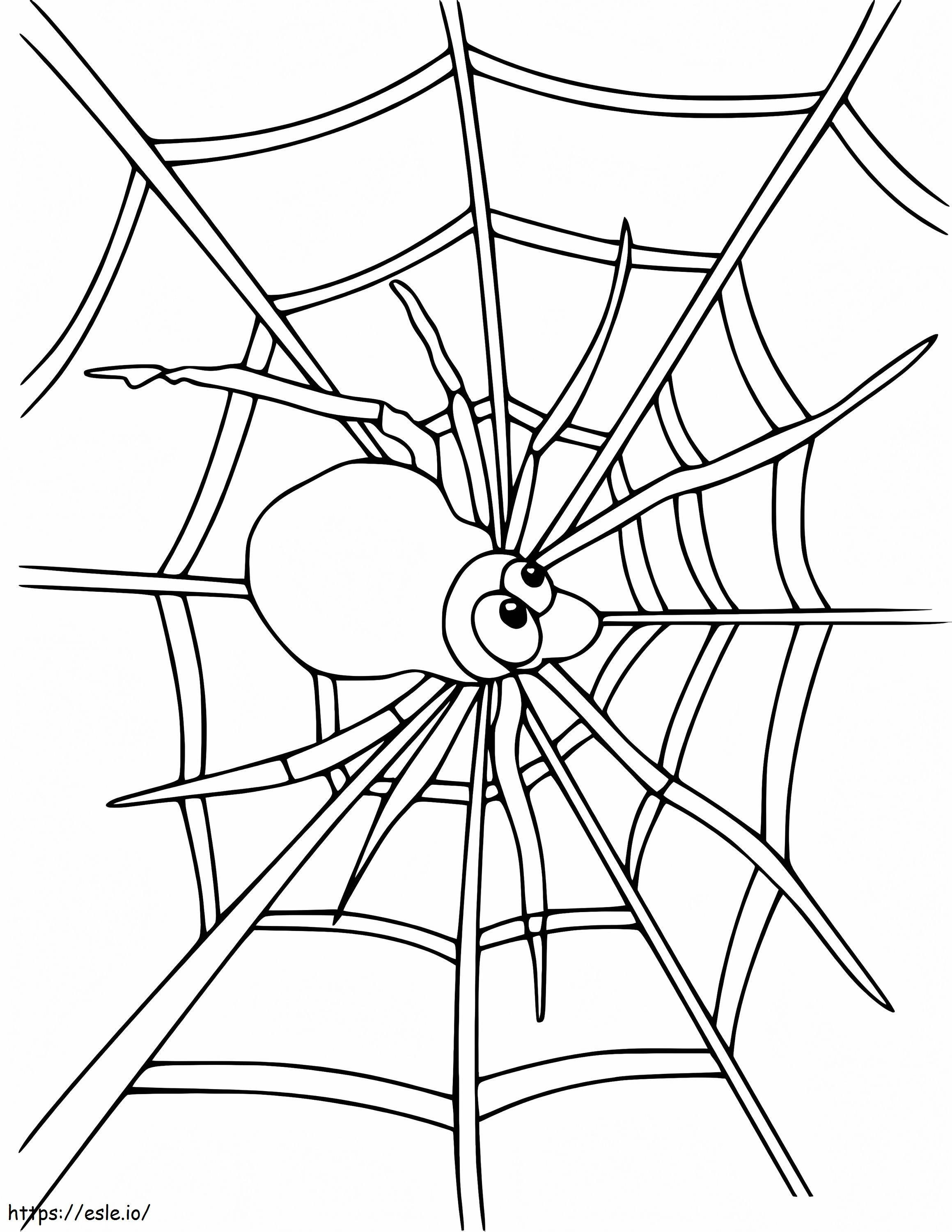 Pająk w pajęczej sieci 3 kolorowanka