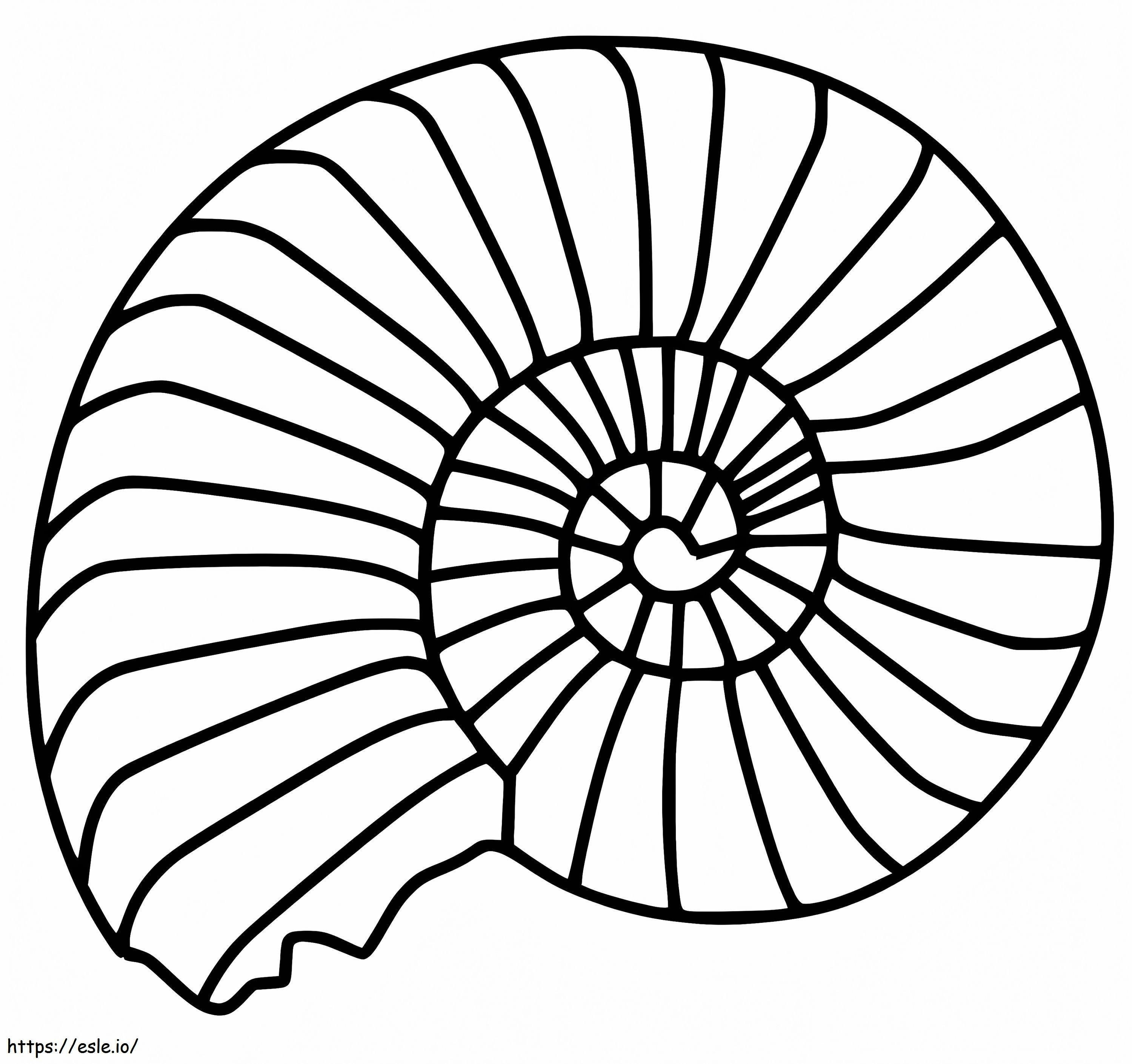 Coloriage Coquille Nautilus 1 à imprimer dessin