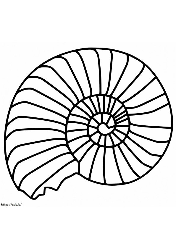 Nautilus Shell 1 coloring page