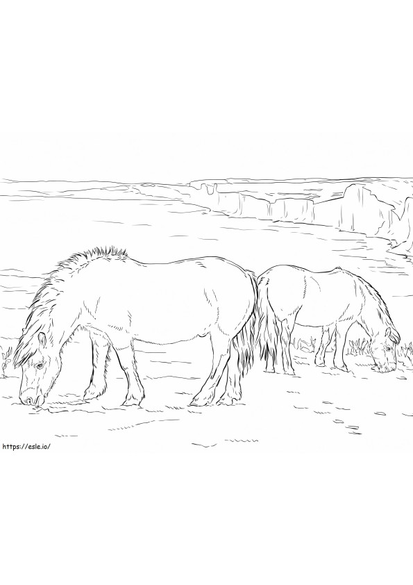 Realistische Ponys ausmalbilder