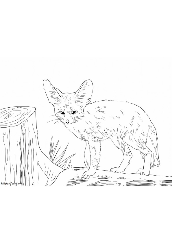Nordafrikanischer Fennec-Fuchs ausmalbilder