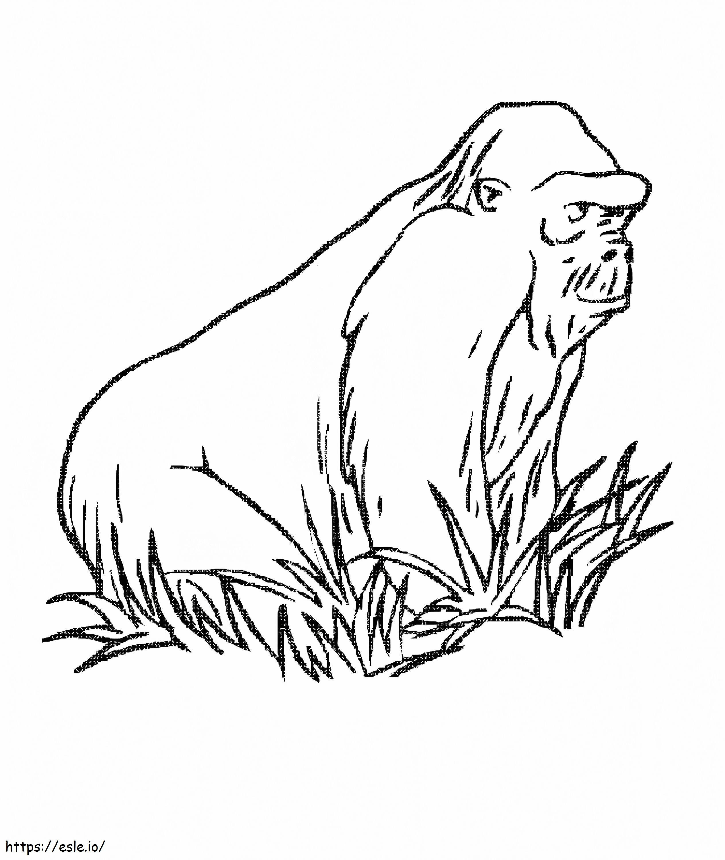 Macaco na grama para colorir