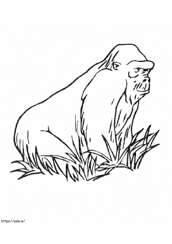 Maimuță în iarbă de colorat