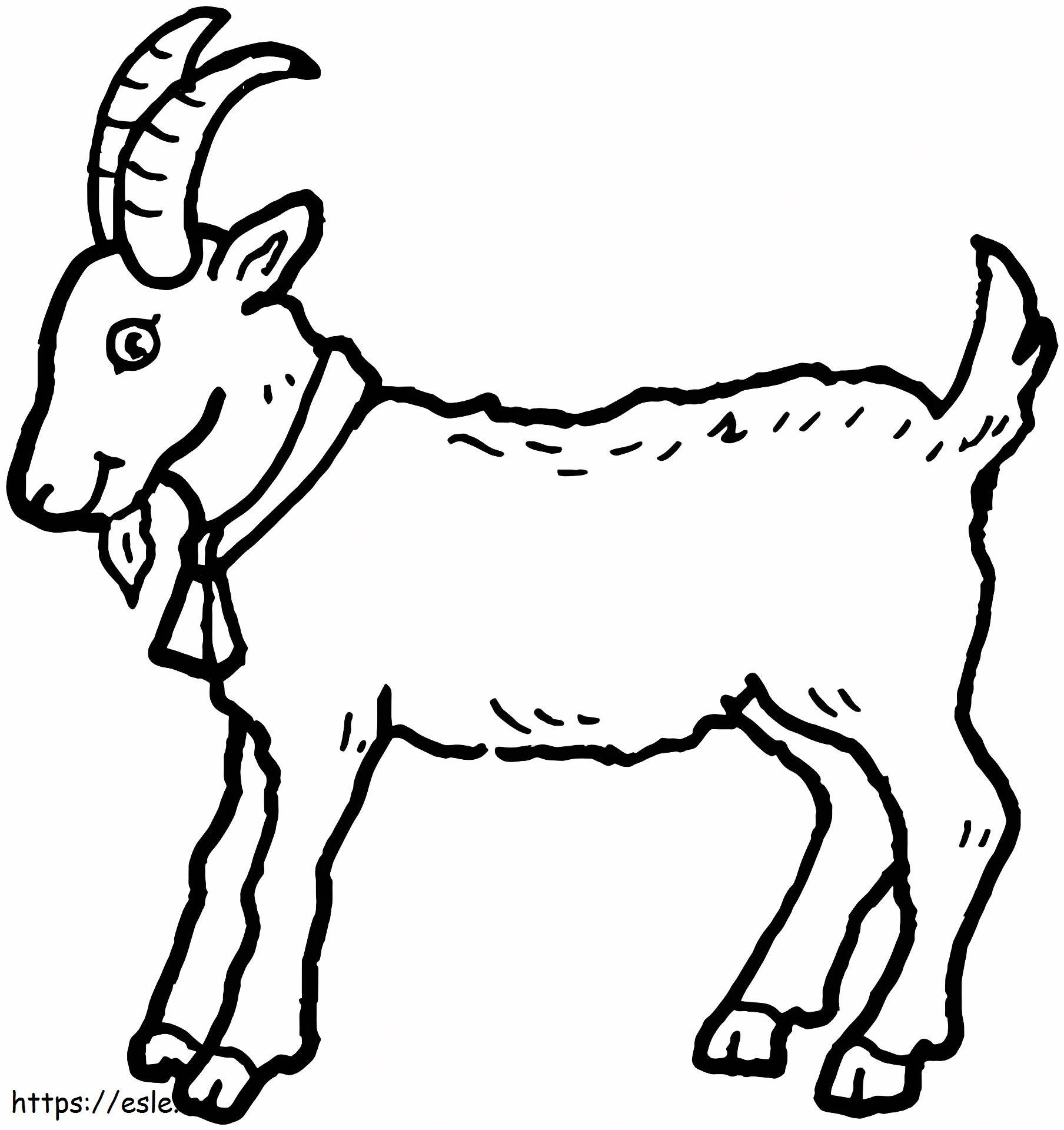 Basic Goat coloring page
