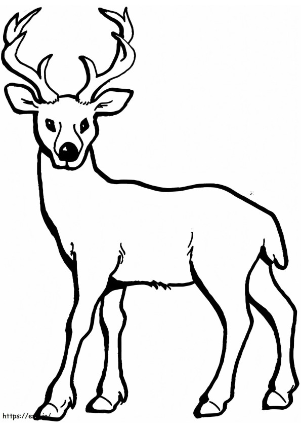 Página para colorear de ciervo normal para colorear
