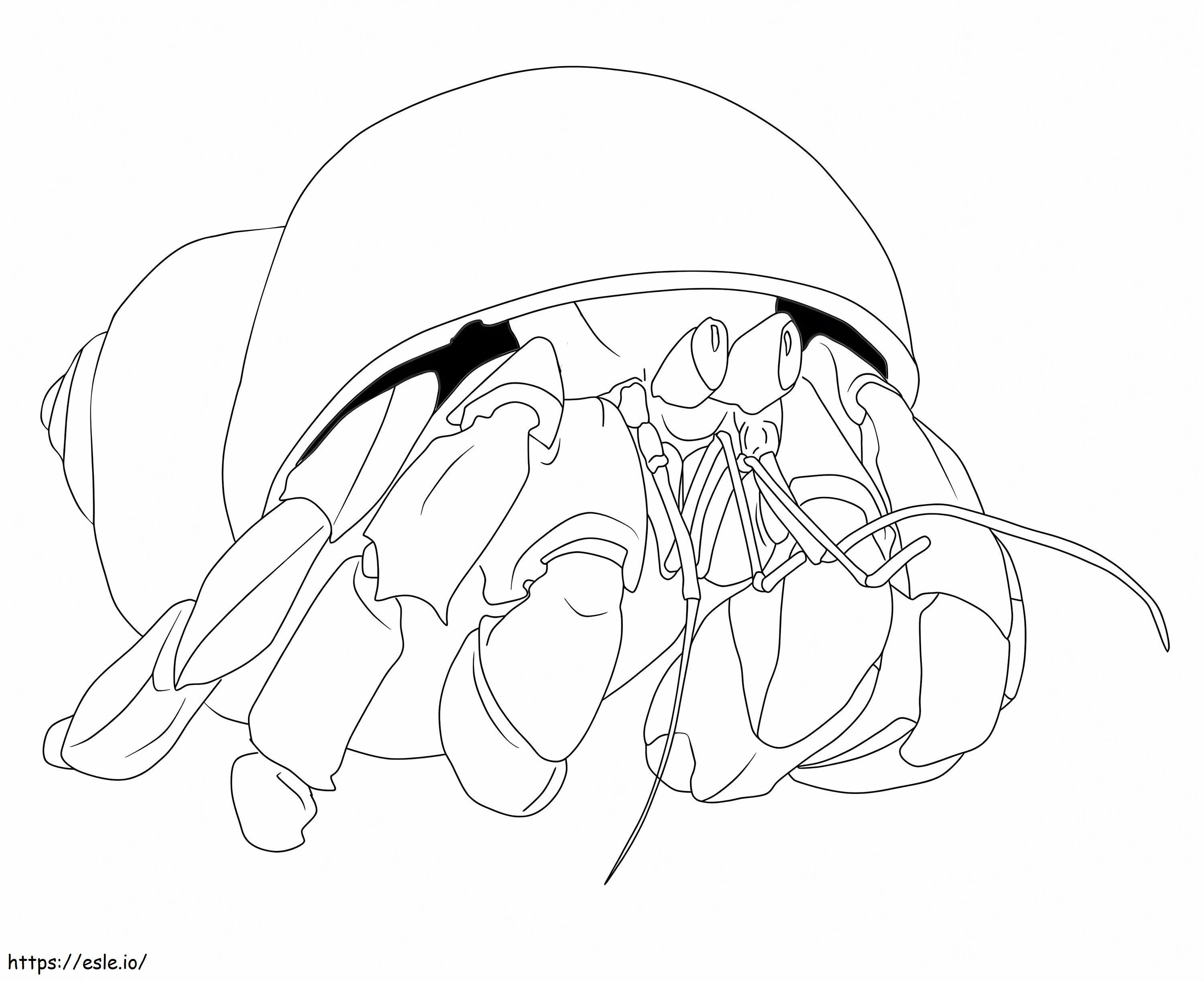 Hermit Crab 1 coloring page