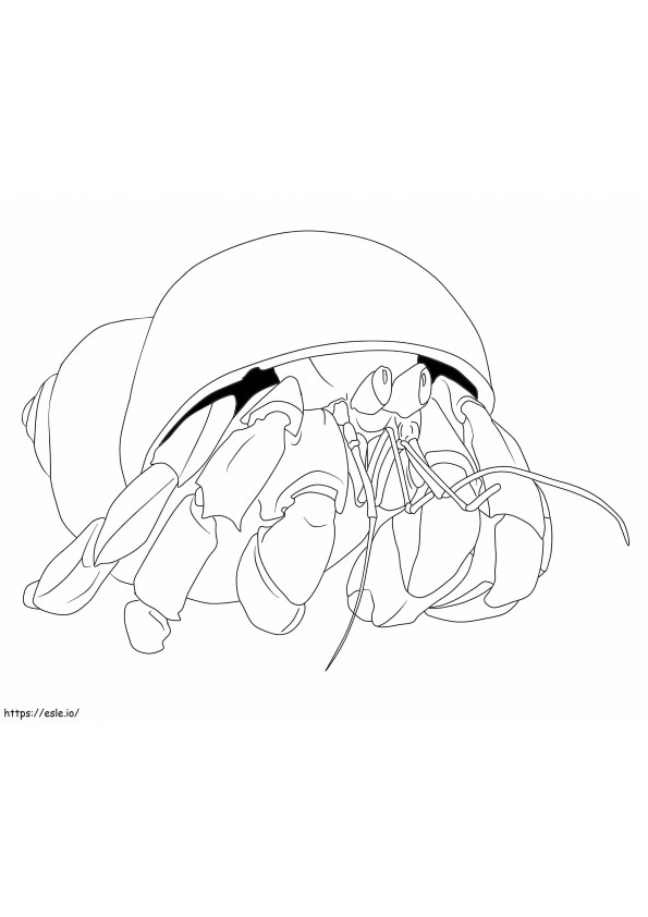 Crabul pustnic 1 de colorat