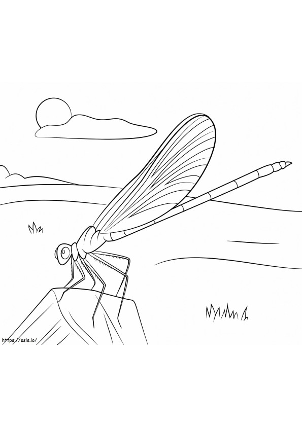 Blue Damselfly coloring page