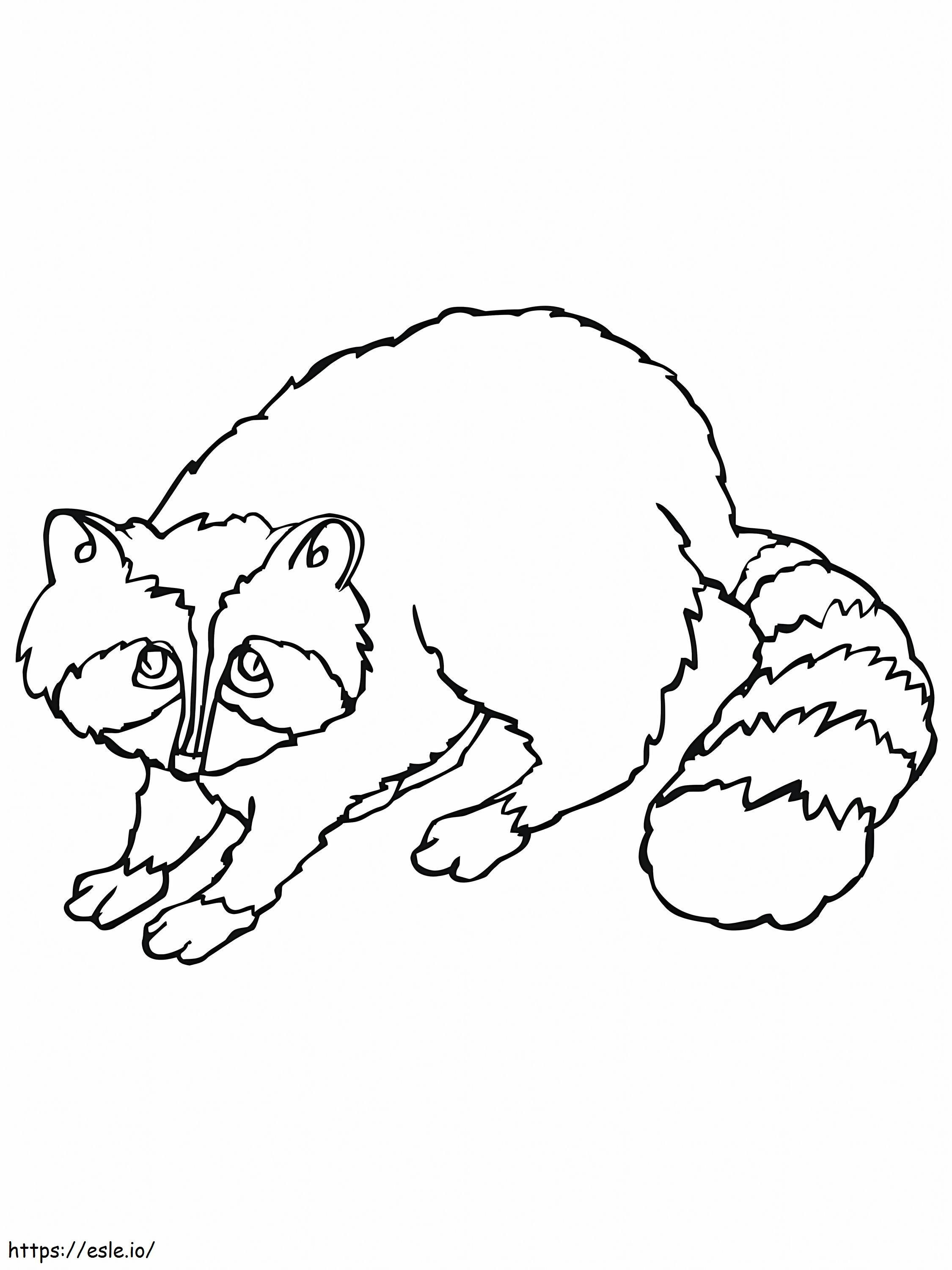 Basic Raccoon coloring page