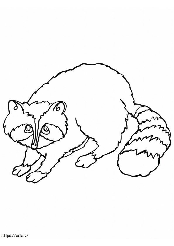 Basic Raccoon coloring page