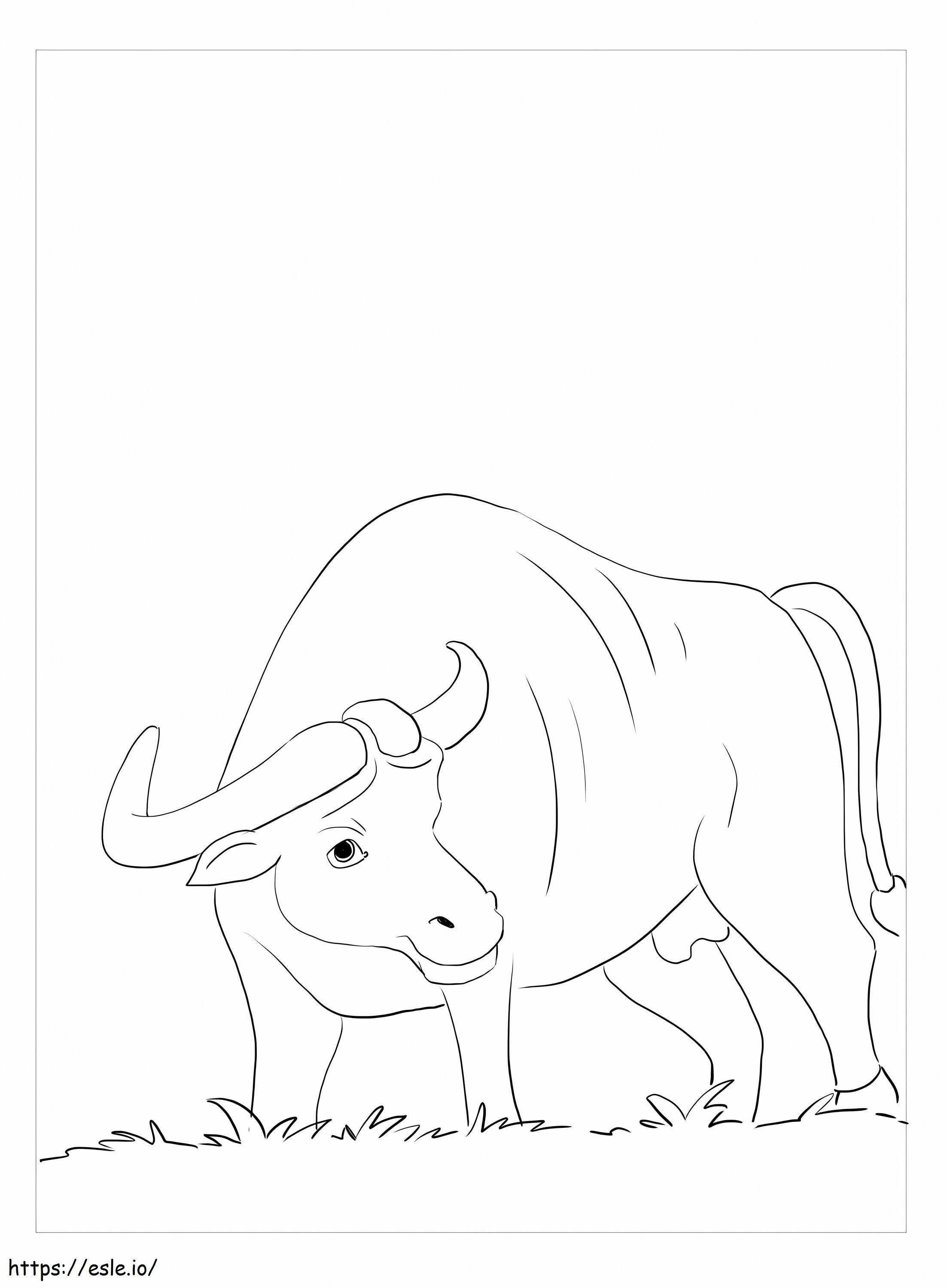 Búfalo com grama para colorir