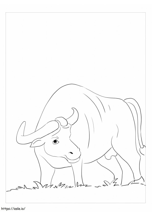 Búfalo con hierba para colorear