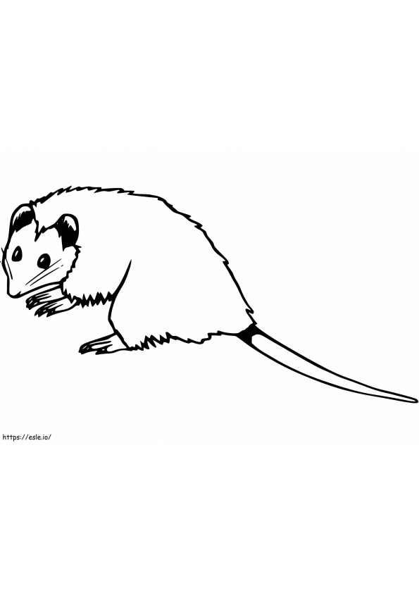 Kleine opossum kleurplaat