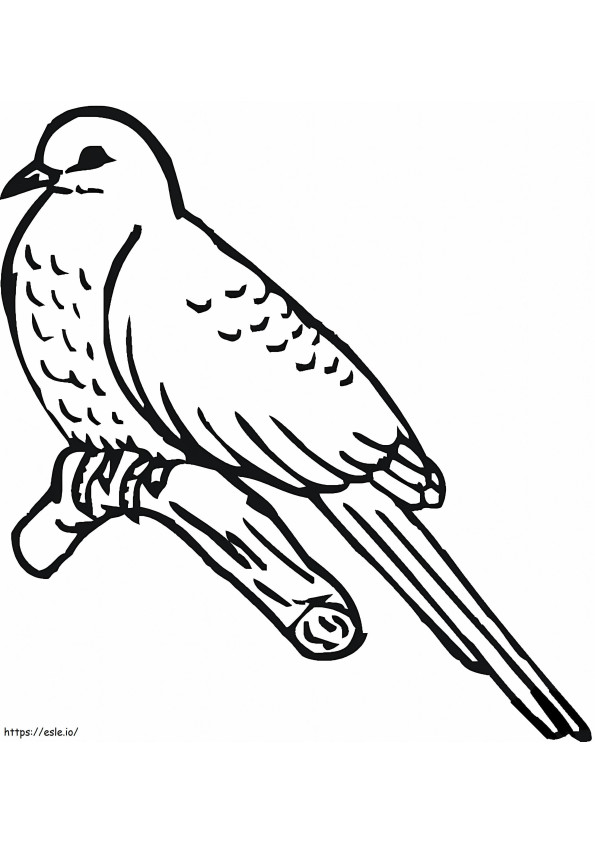 Coloriage Oiseau coucou à imprimer dessin