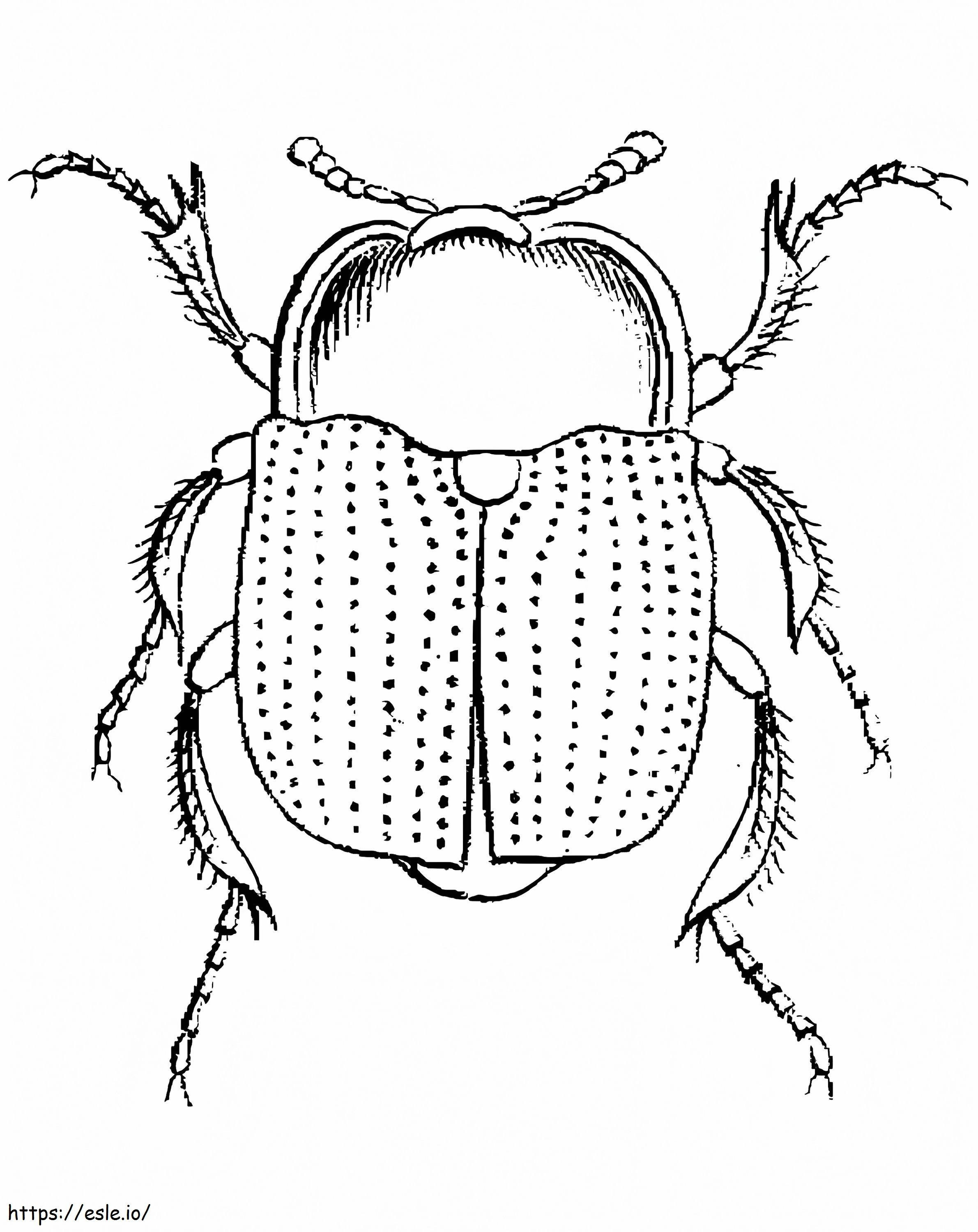 Coloriage Un scarabée à imprimer dessin