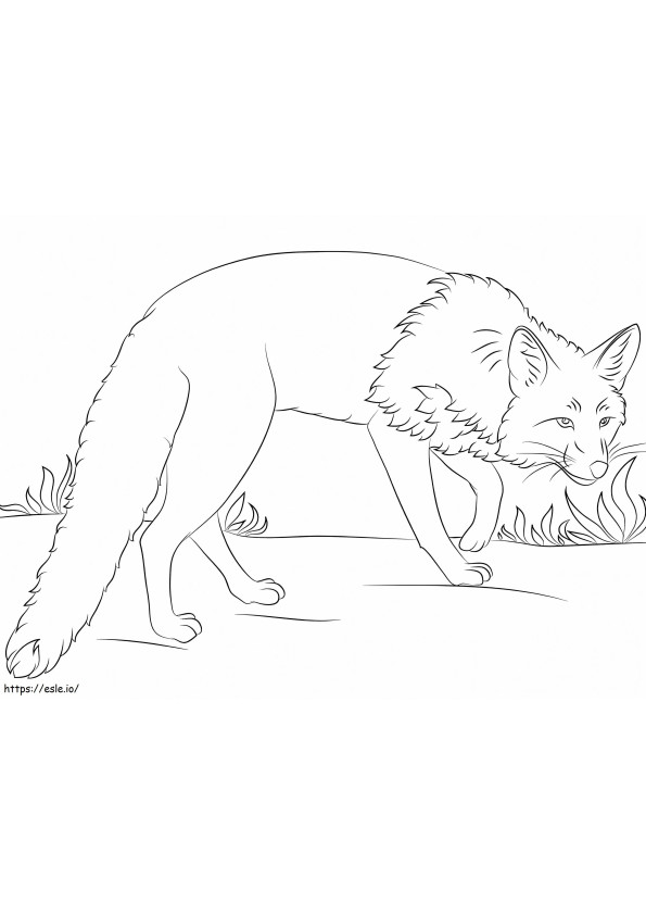 Red Fox Lurking coloring page