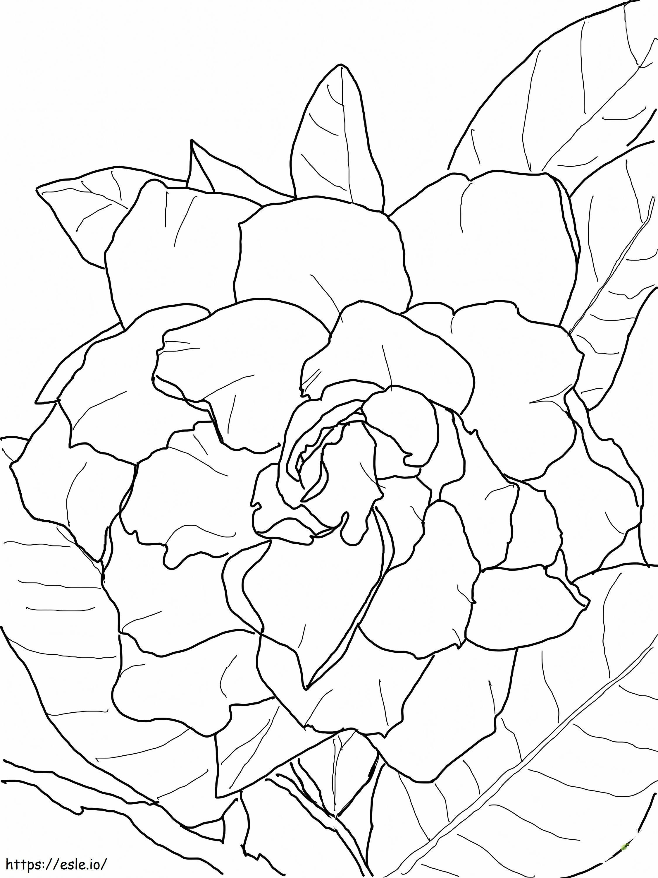 Bonita Gardenia coloring page