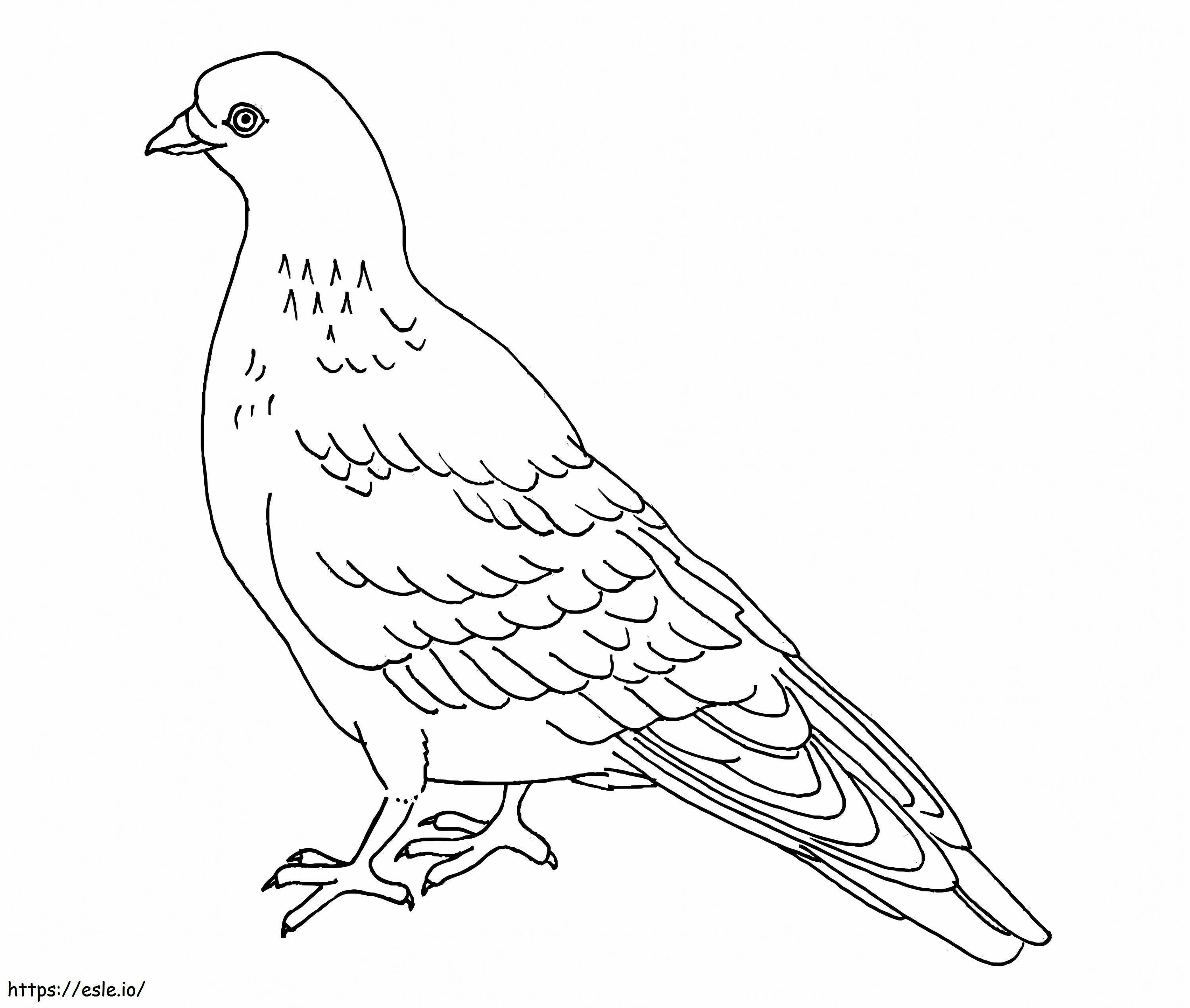 Coloriage Pigeon 2 à imprimer dessin