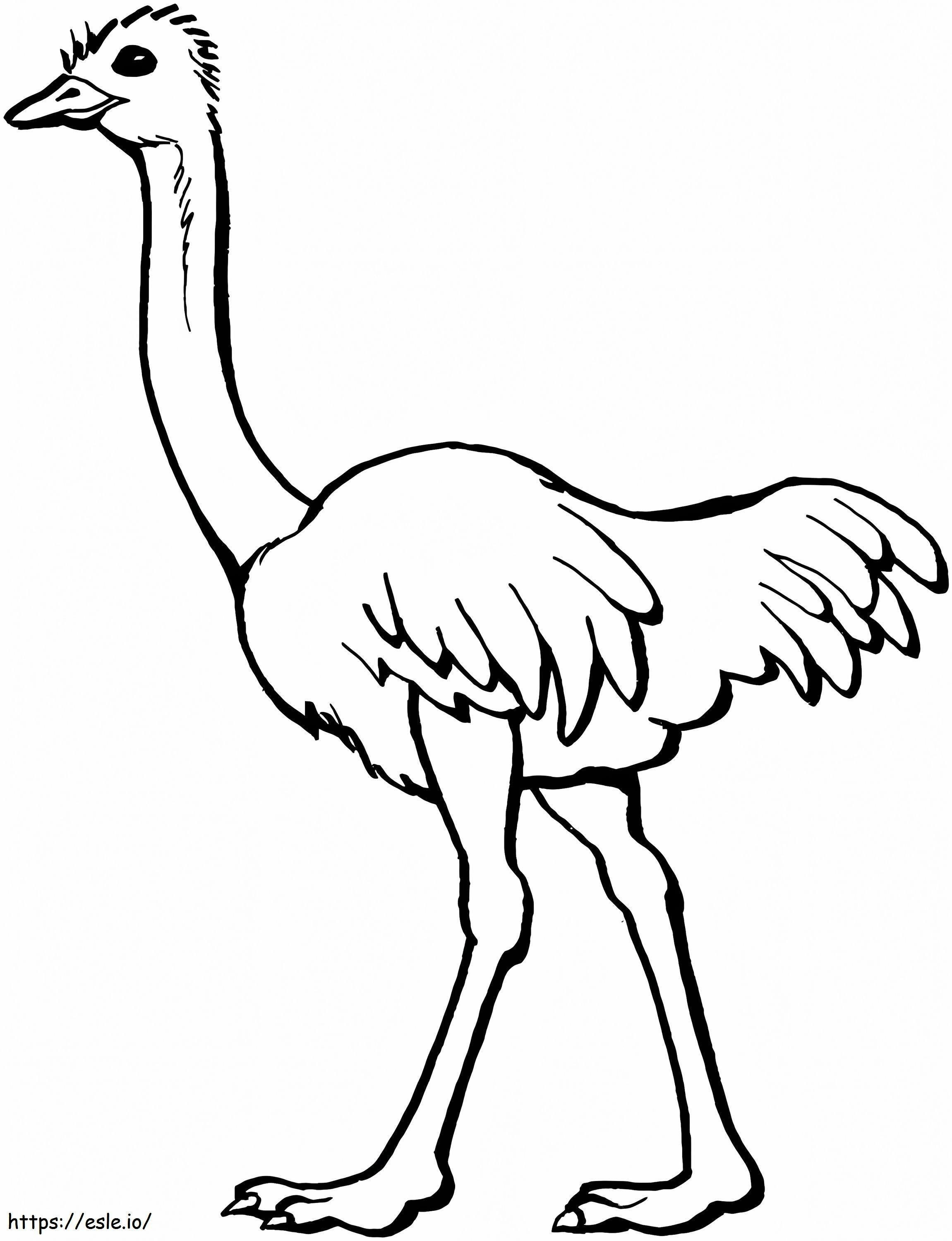 Ostrich 2 coloring page