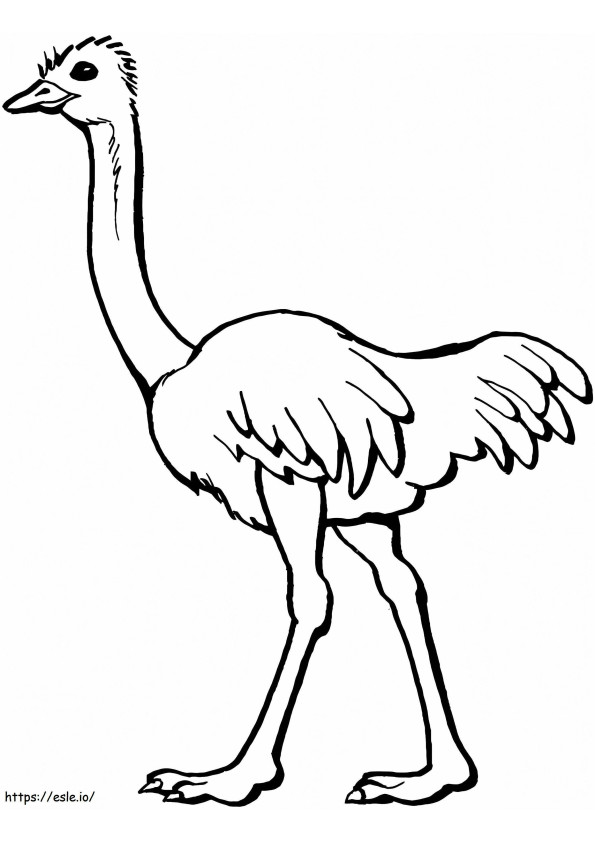 Ostrich 2 coloring page