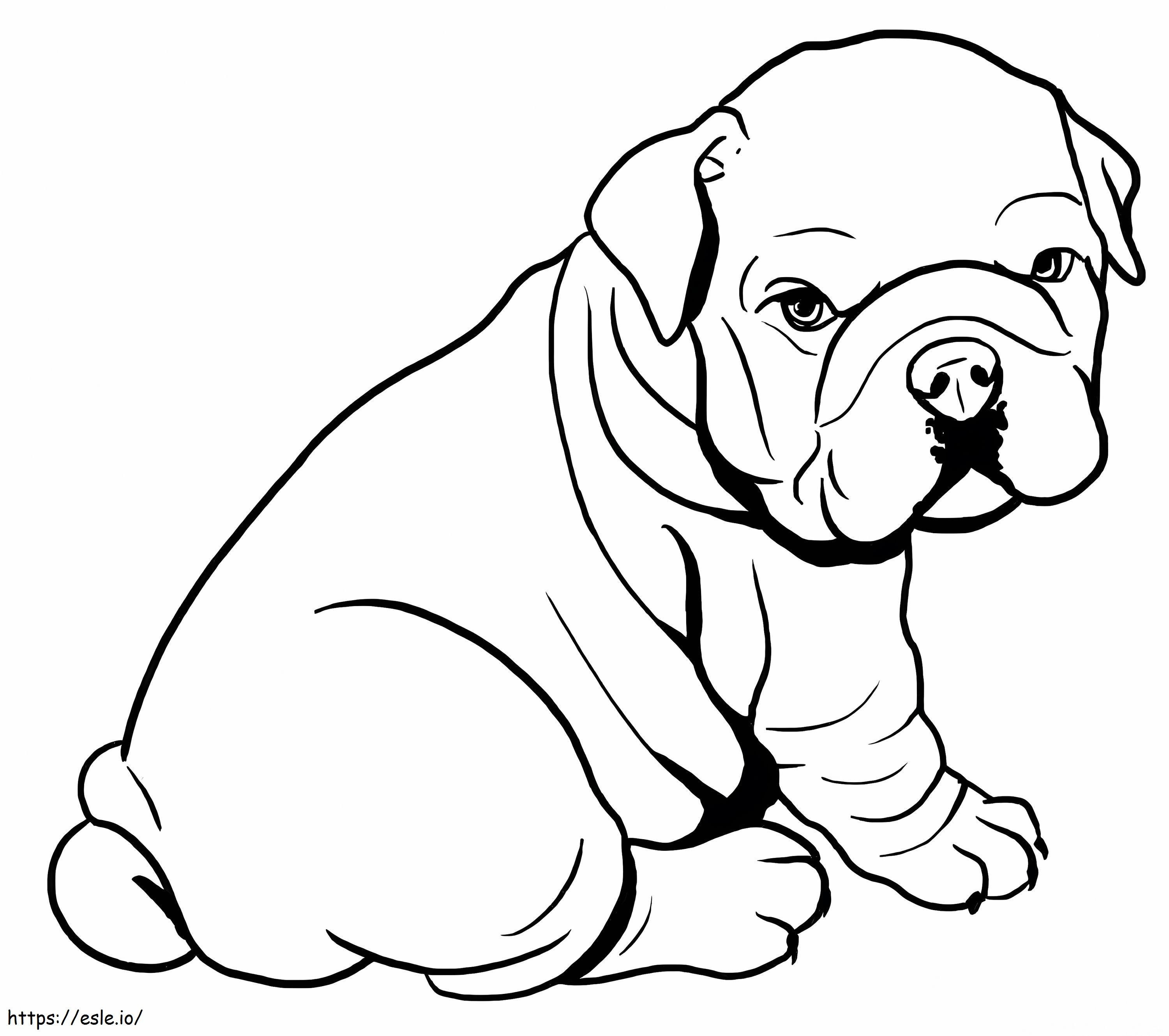 Baby Pitbull coloring page