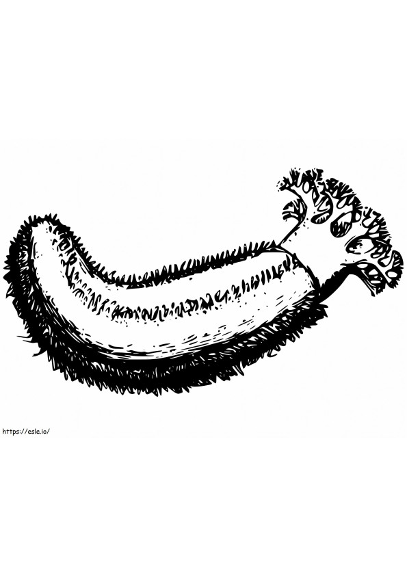 Normal Sea Cucumber coloring page