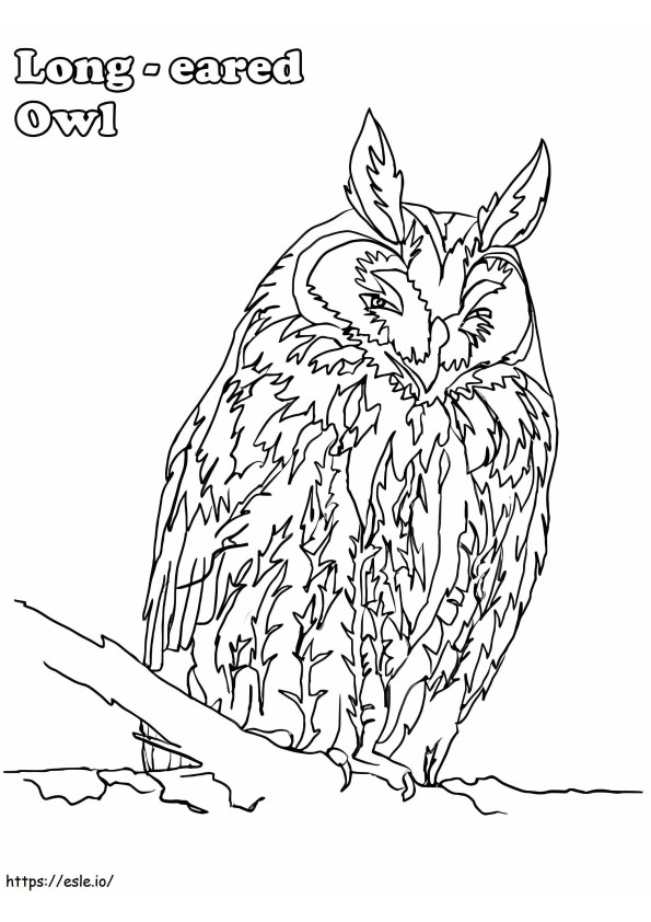 Short-Eared Owl coloring page