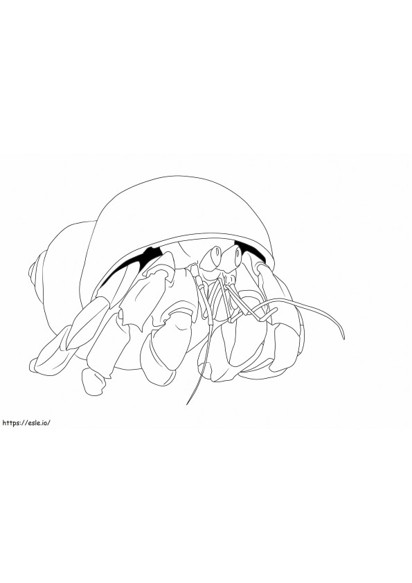 Perfect Crab coloring page