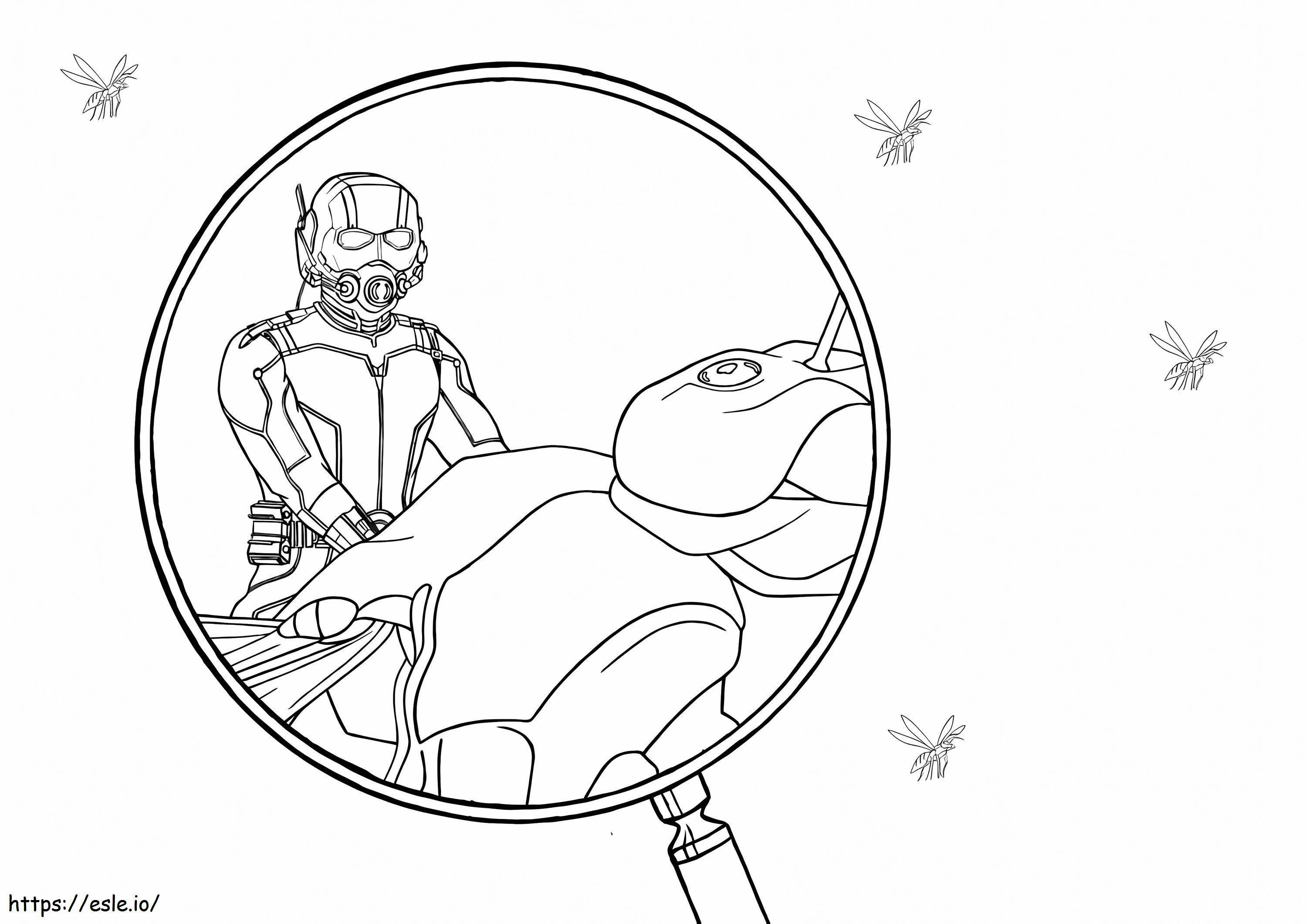 Ant Man 3 coloring page