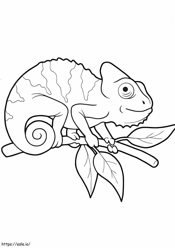 Adorable Chameleon coloring page