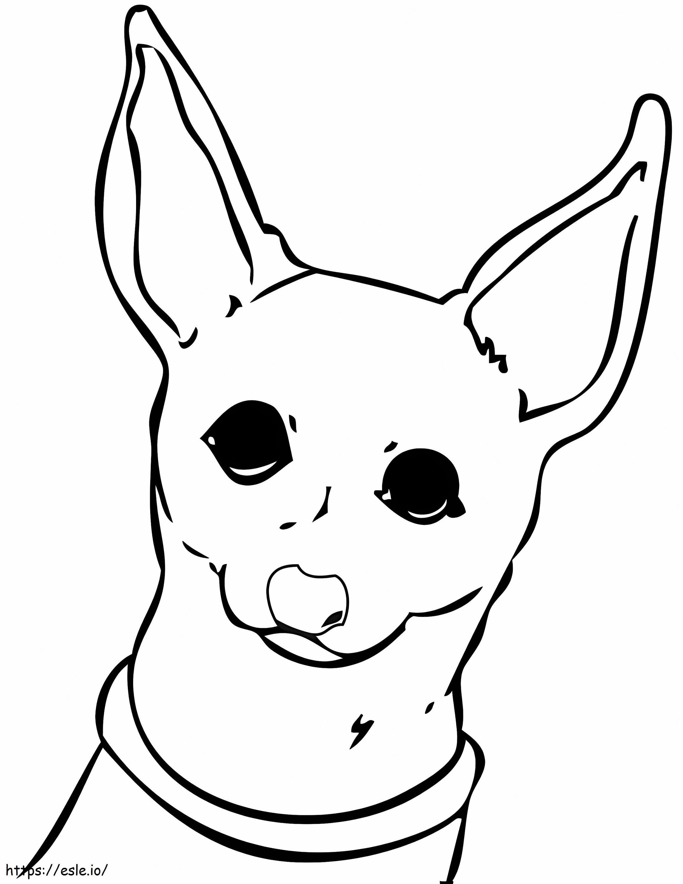 Coloriage Visage de Chihuahua à imprimer dessin
