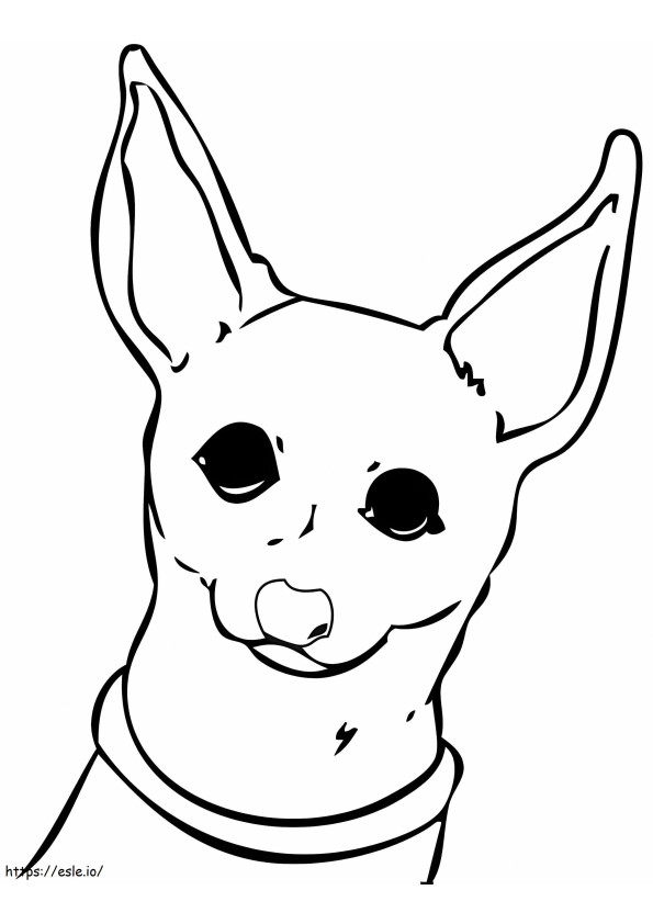 Wajah Chihuahua Gambar Mewarnai