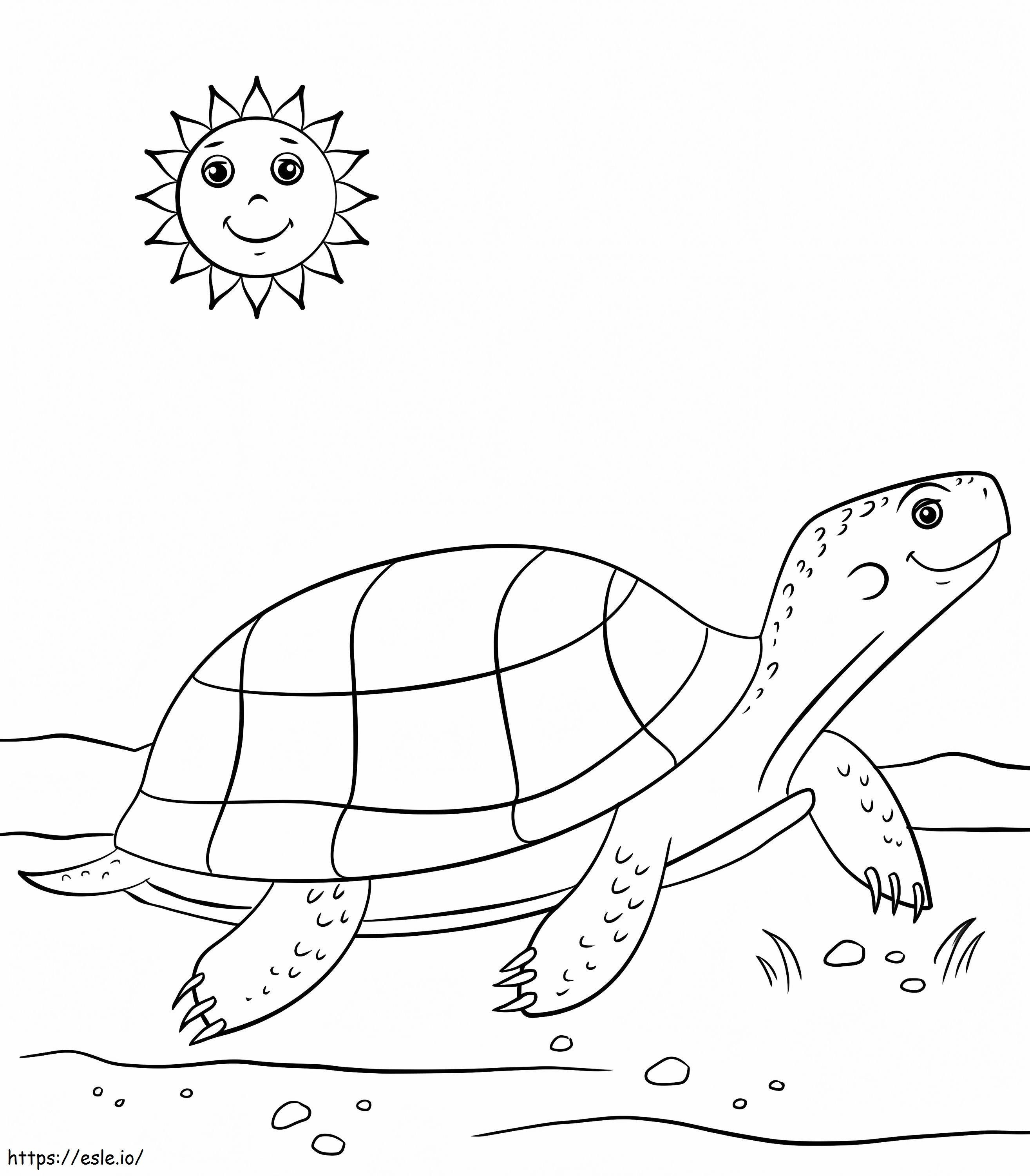 Sarjakuva kilpikonna ja aurinko värityskuva